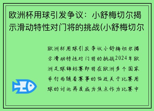 欧洲杯用球引发争议：小舒梅切尔揭示滑动特性对门将的挑战(小舒梅切尔扑出莫德里奇点球)